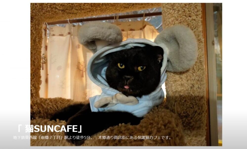 猫SUN CAFE