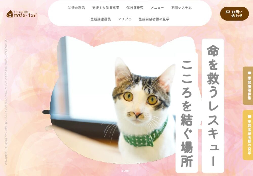 保護猫カフェmata×tabi