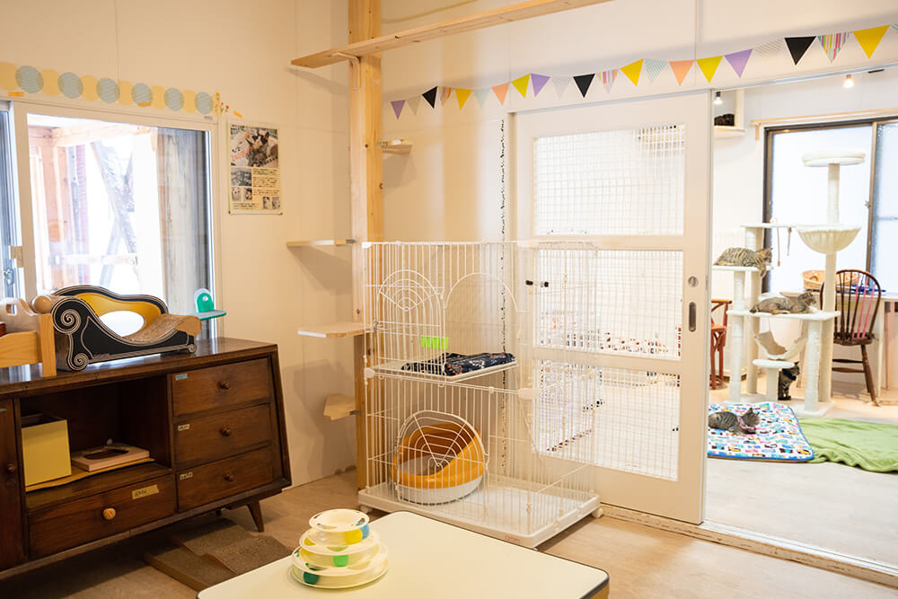 ツキネコカフェ