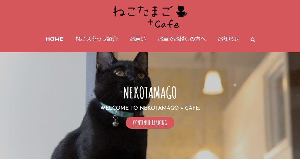 ねこたまご＋cafe