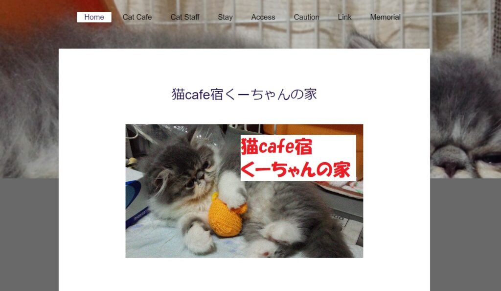 猫cafe宿くーちゃんの家