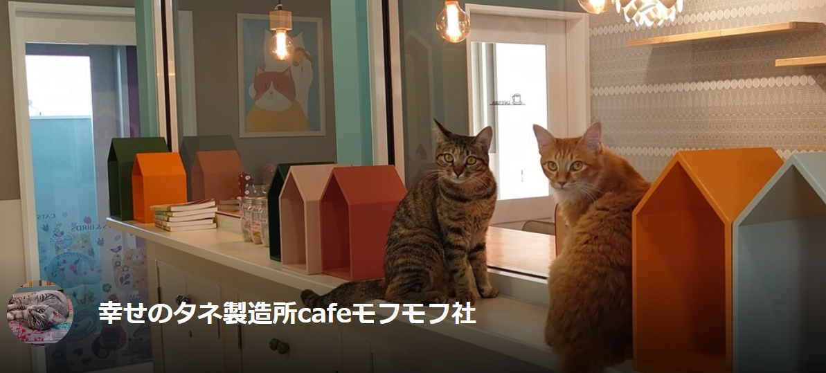 幸せのタネ製造所Cafeモフモフ社