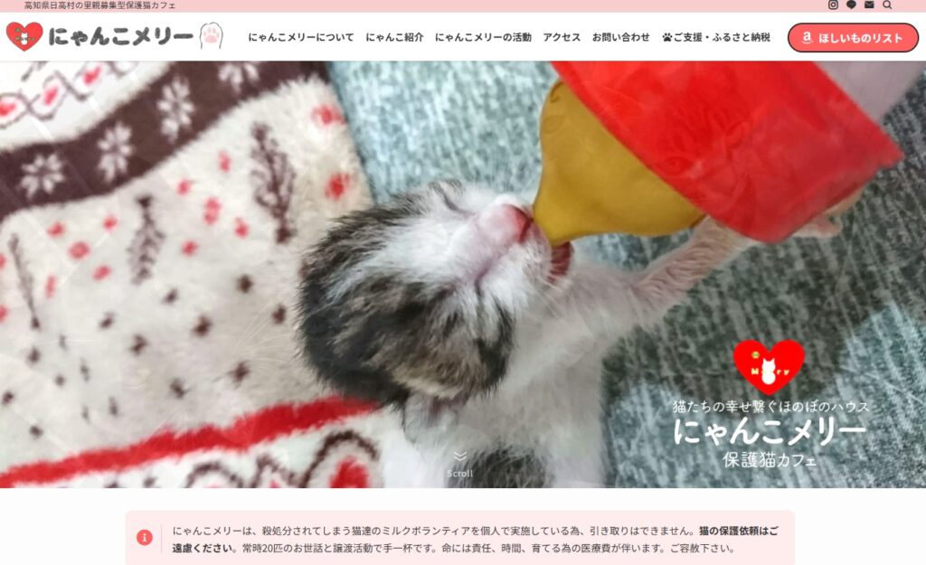 保護猫カフェ にゃんこメリー