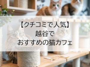 越谷でおすすめの猫カフェ