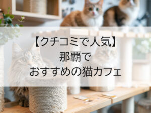 那覇でおすすめの猫カフェ
